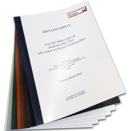 Projektarbeit Drucken & Binden