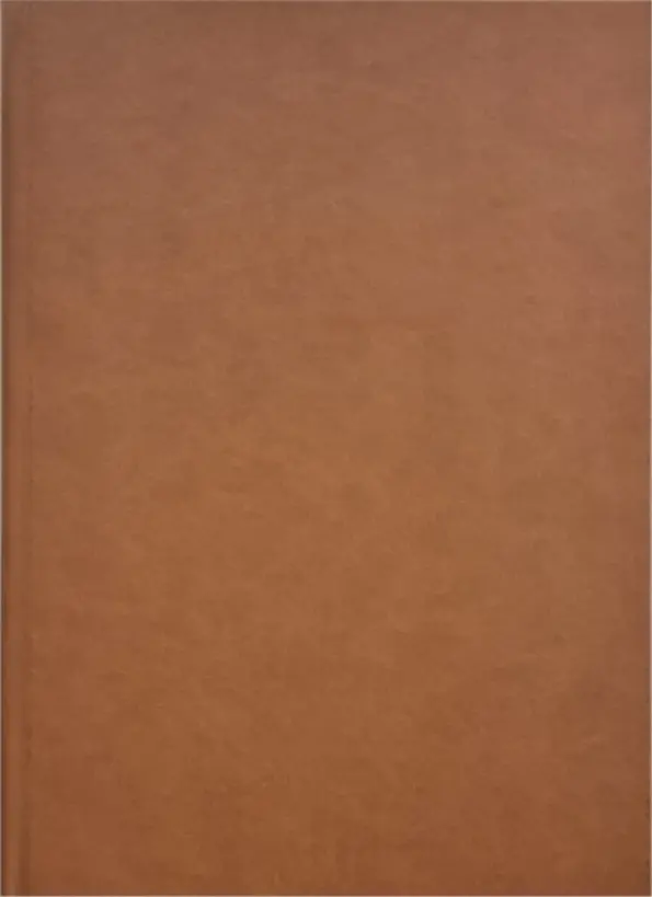 Hardcover-Premium-Leder-braun ohne Coververedelung